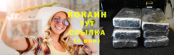 индика Горно-Алтайск